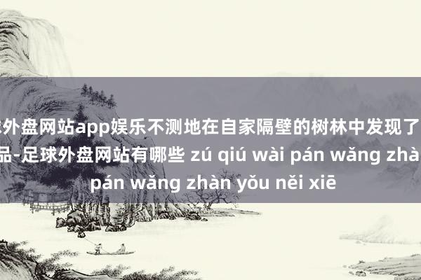 足球外盘网站app娱乐不测地在自家隔壁的树林中发现了老婆遗落的各式物品-足球外盘网站有哪些 zú qiú wài pán wǎng zhàn yǒu něi xiē