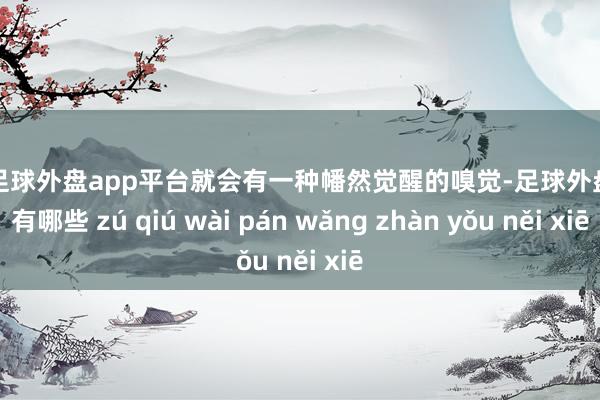 现金足球外盘app平台就会有一种幡然觉醒的嗅觉-足球外盘网站有哪些 zú qiú wài pán wǎng zhàn yǒu něi xiē