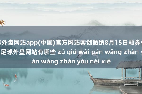 足球外盘网站app(中国)官方网站睿创微纳8月15日融券偿还12.18万股-足球外盘网站有哪些 zú qiú wài pán wǎng zhàn yǒu něi xiē