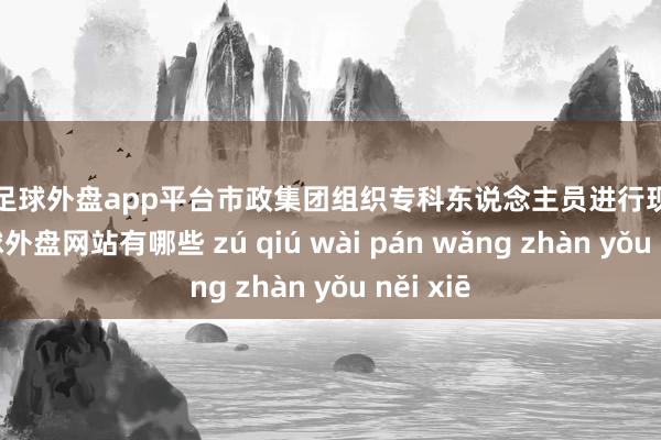 现金足球外盘app平台市政集团组织专科东说念主员进行现场调研-足球外盘网站有哪些 zú qiú wài pán wǎng zhàn yǒu něi xiē