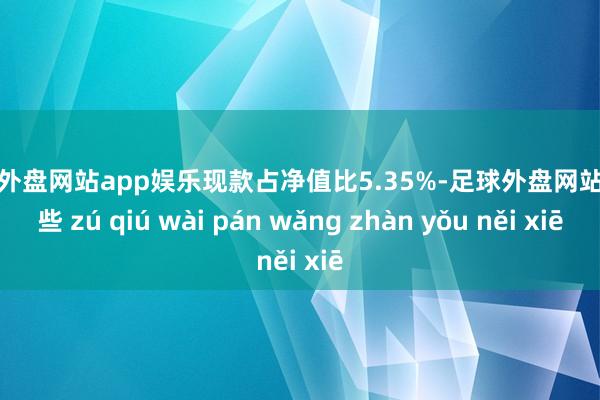 足球外盘网站app娱乐现款占净值比5.35%-足球外盘网站有哪些 zú qiú wài pán wǎng zhàn yǒu něi xiē