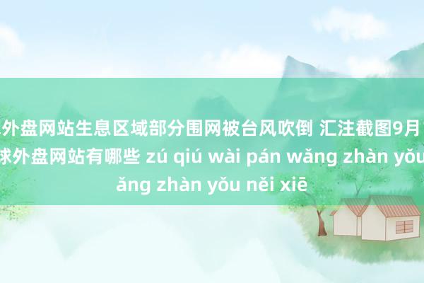 足球外盘网站生息区域部分围网被台风吹倒 汇注截图9月17日上昼-足球外盘网站有哪些 zú qiú wài pán wǎng zhàn yǒu něi xiē