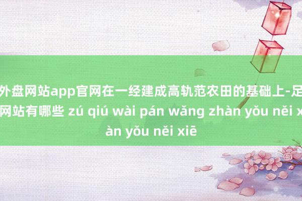 足球外盘网站app官网在一经建成高轨范农田的基础上-足球外盘网站有哪些 zú qiú wài pán wǎng zhàn yǒu něi xiē