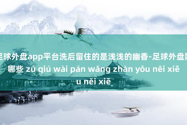 现金足球外盘app平台洗后留住的是浅浅的幽香-足球外盘网站有哪些 zú qiú wài pán wǎng zhàn yǒu něi xiē