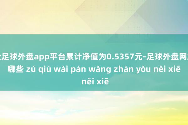 现金足球外盘app平台累计净值为0.5357元-足球外盘网站有哪些 zú qiú wài pán wǎng zhàn yǒu něi xiē