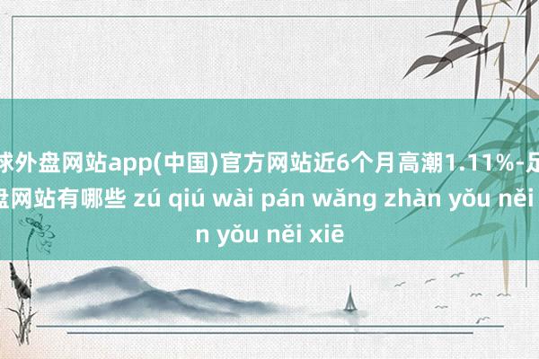 足球外盘网站app(中国)官方网站近6个月高潮1.11%-足球外盘网站有哪些 zú qiú wài pán wǎng zhàn yǒu něi xiē