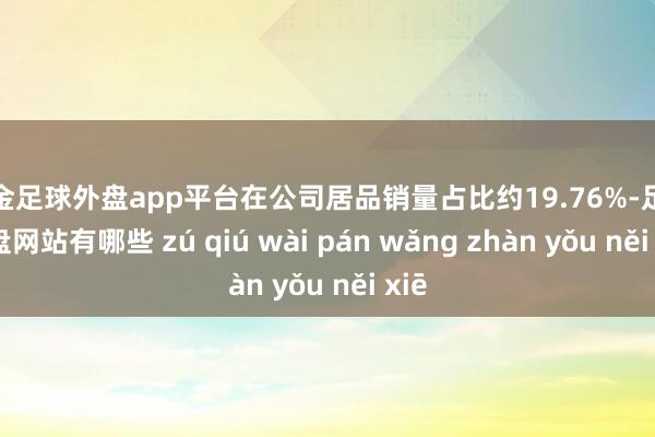 现金足球外盘app平台在公司居品销量占比约19.76%-足球外盘网站有哪些 zú qiú wài pán wǎng zhàn yǒu něi xiē