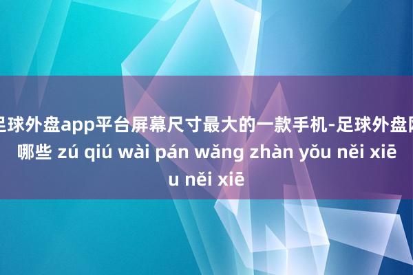 现金足球外盘app平台屏幕尺寸最大的一款手机-足球外盘网站有哪些 zú qiú wài pán wǎng zhàn yǒu něi xiē