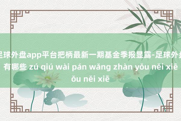 现金足球外盘app平台把柄最新一期基金季报显露-足球外盘网站有哪些 zú qiú wài pán wǎng zhàn yǒu něi xiē