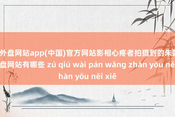 足球外盘网站app(中国)官方网站影相心疼者拍摄到的朱鹮-足球外盘网站有哪些 zú qiú wài pán wǎng zhàn yǒu něi xiē